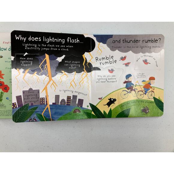 Lot of 2 Usborne Lift The Flap First Questions & Answers Rain Flowers Kids Books - Picture 7 of 7